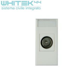 Presa TV Diretta Maschio Whitek