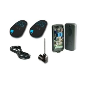 CAME RE432M - KIT Ricevitore bicanale da esterno 12-24V 433,92MHz + 2 Radiocomandi + Antenna + Cavo 5mt