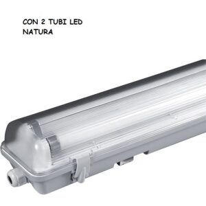 CO236