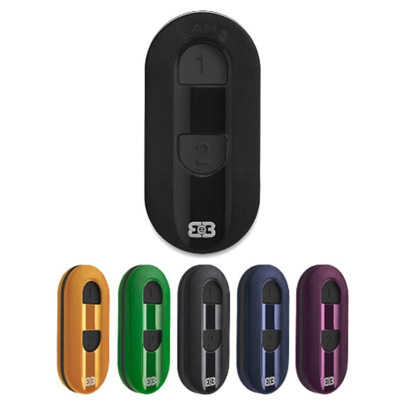 Radiocomando 2 Canali Multifrequenza 433-868 Bluetooth