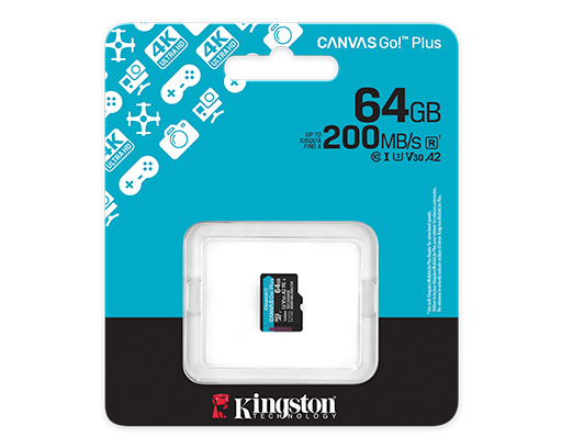 Micro SD HC Class 10 128Gb Canvas GO Plus