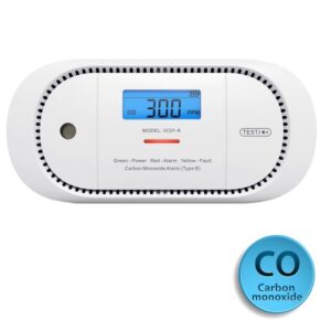 Sensore Monossido di Carbonio Autonomo