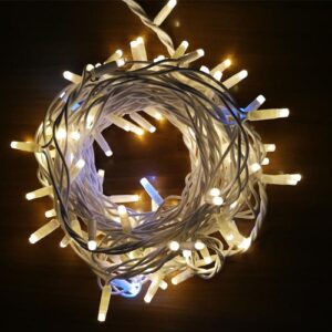 Stringa 120 Led 10mt Bianco Caldo Con Flash Senza Raddrizzatore